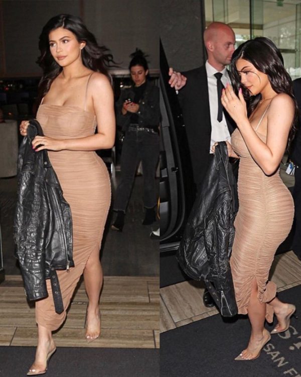 Olivia Organza Mesh Maxi Nude Dress